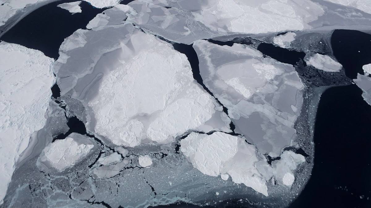 Шельфовые ледники Антарктиды сократились в объеме за 25 лет более чем на 40%